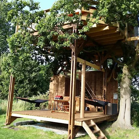 Perchee Dans La Prairie De L'ancien Moulin