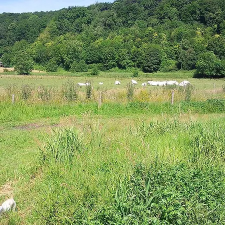 Perchee Dans La Prairie De L'ancien Moulin ベッド・アンド・ブレックファスト 3*