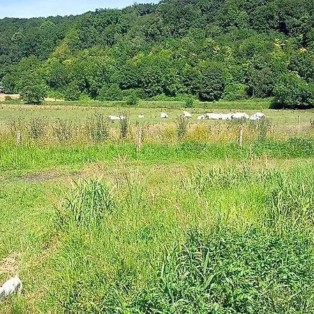 Perchee Dans La Prairie De L'ancien Moulin 3* Вальмон