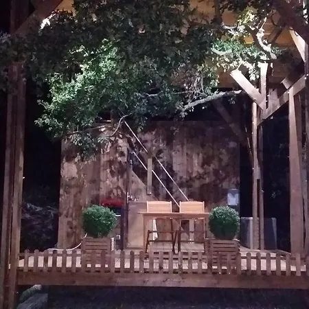 Perchee Dans La Prairie De L'ancien Moulin