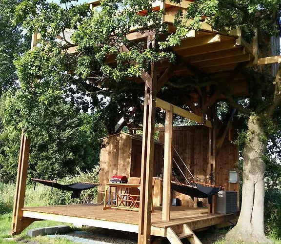 Perchee Dans La Prairie De L'ancien Moulin