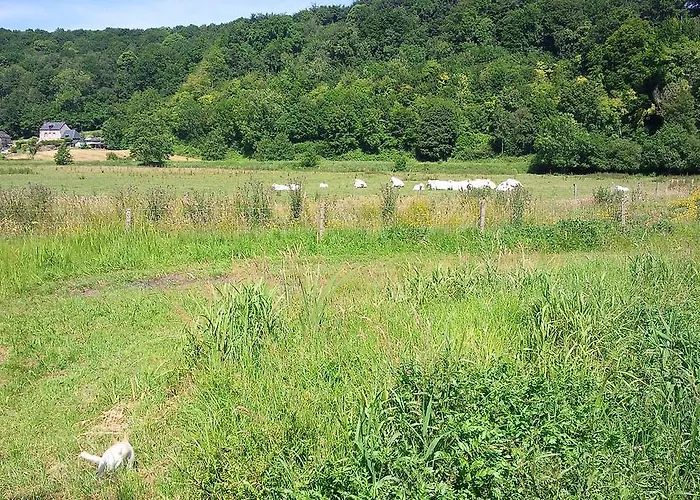 Perchee Dans La Prairie De L'ancien Moulin Nocleg ze śniadaniem 3*