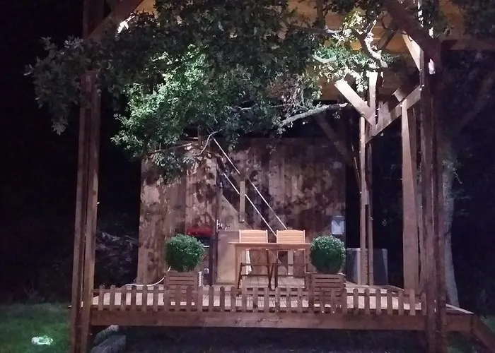 Perchee Dans La Prairie De L'ancien Moulin